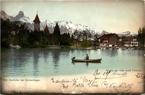 Aareufer bei Scherzlingen Thun -434996