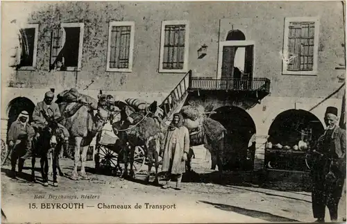 Beyrouth - Chameaux de Transportnite -433416