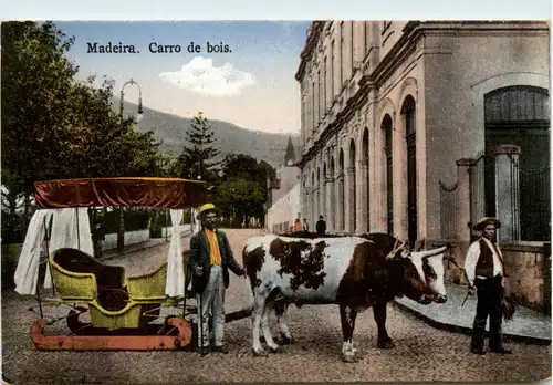 Madeira - Carro de bois -433536
