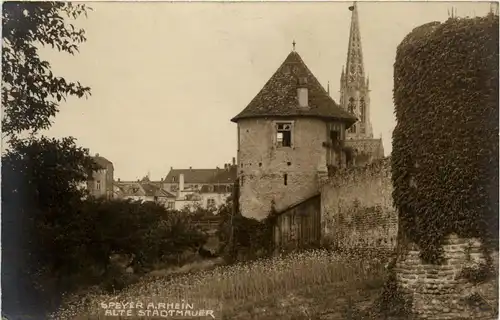 Speyer, alte Stadtmauer -360380