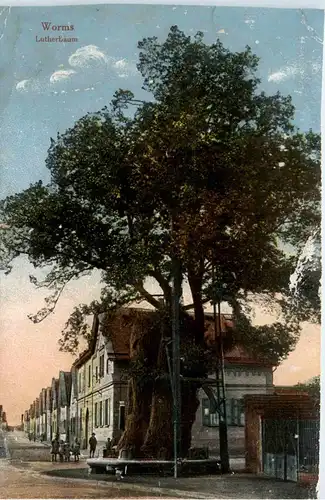 Worms, Lutherbaum -360868