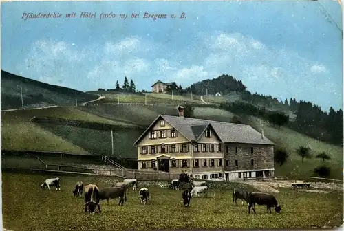 Bregenz/Vorarlberg, div. Orte und Umgebung - Pfänderdohle mit Hotel bei Bregenz -336580