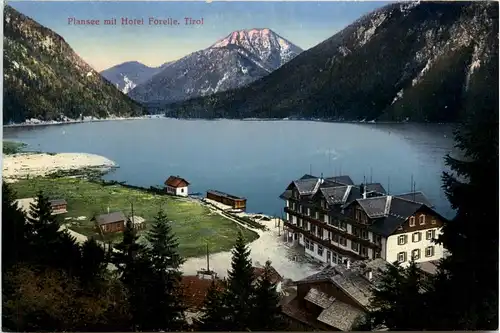 Plansee mit Hotel Forelle, Tirol -360224