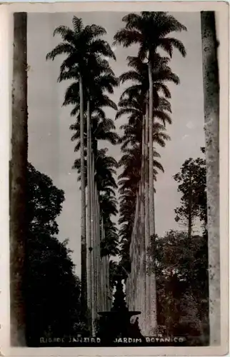 Brasil - Rio de Janeiro -435664