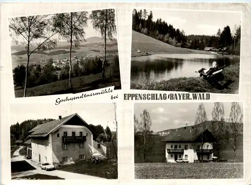 Eppenschlag, Gschwendtmersmühle div. Bilder -361274