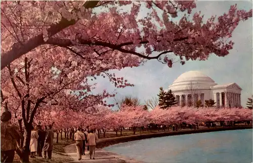 Washington DC -435938