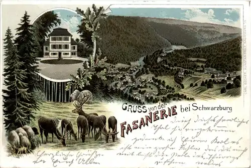 Gruss von der Fasanerie bei Schwarzburg - Litho -437232