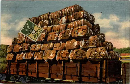 Cotton Ready for Shipment -436746