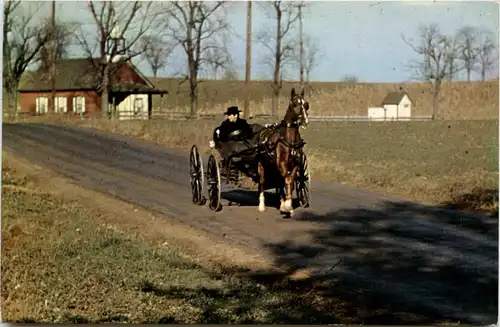 Dutch Country - Amish -436632