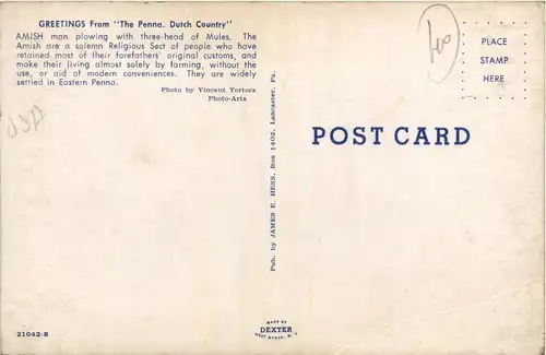 Eastern Penna - Amish -436630