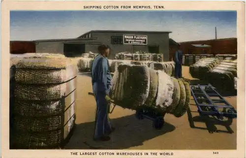 Memphis - Shiping Cotton -436748