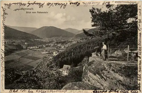 Herrenalb - Blick vom Falkenstein -438376