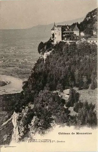 Chateau de Monnetier - Salve -439162