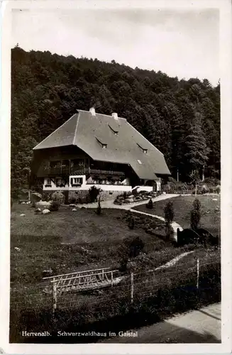 Herrenalb - Schwarzwaldhaus im Glaistal -438370