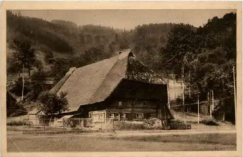 Bauernhaus in Gutach -438470