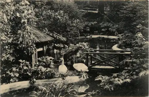 LA Chaux de Fonds -438992