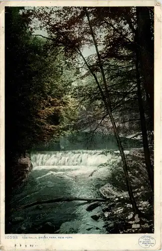 New York City - Bronx Park -436446