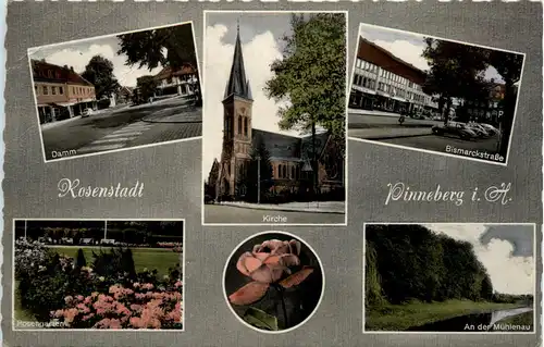 Rosenstadt Pinneberg -438588