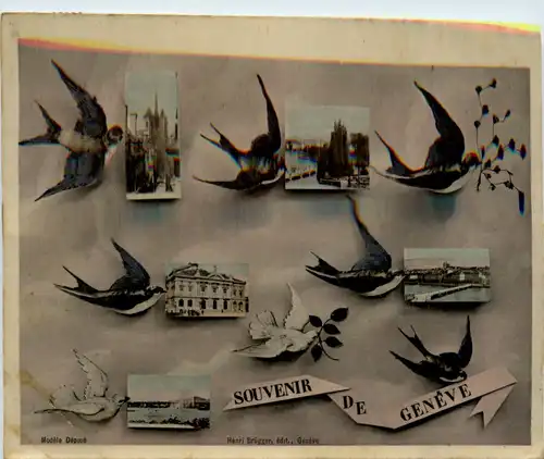 Souvenir de Geneve -439012