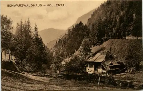 Schwarzwaldhaus im Höllental -438402