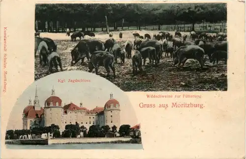 Gruss aus Moritzburg -438482