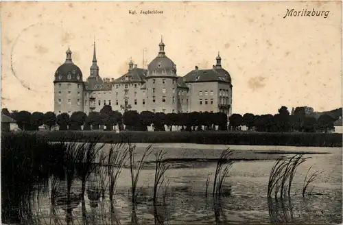 Moritzburg bei Dresden -437640