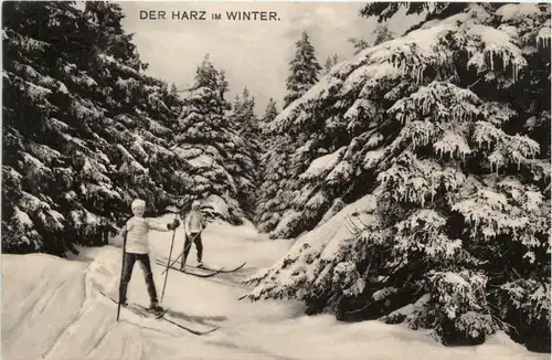 Ski - Harz im Winter -439862