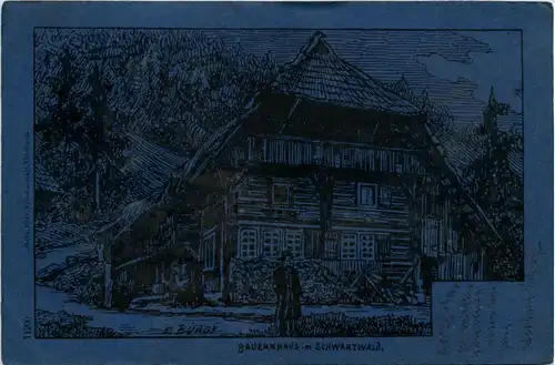 Bauernhaus im Schwarzwald -437780