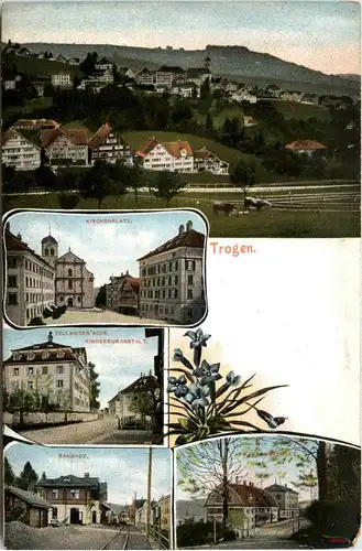 Trogen -439474
