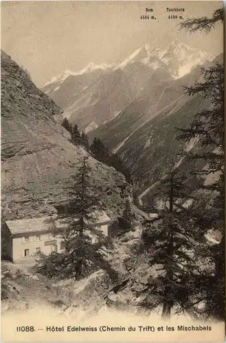 Hotel Edelweiss - Chemin du Trift et les Mischabels -439418