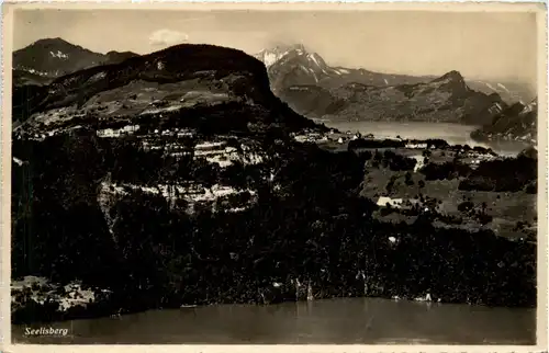 Seelisberg -439756