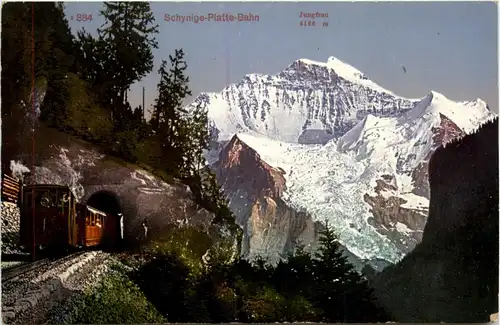 Schynige Platte Bahn -441300