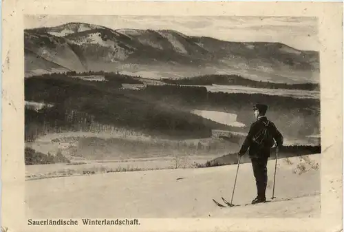 Sauerländische Winterlandschaft - Ski -439856