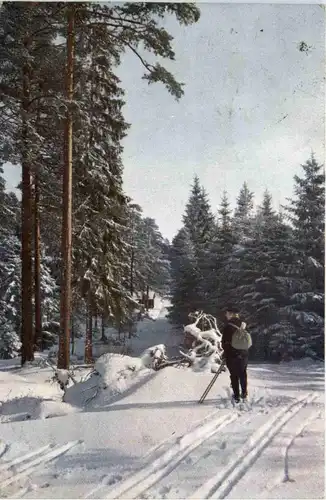 Ski -439860