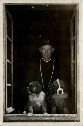 Hospice du Grand St. Bernhard -439494