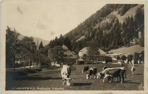 Höllental - Posthalde -440038