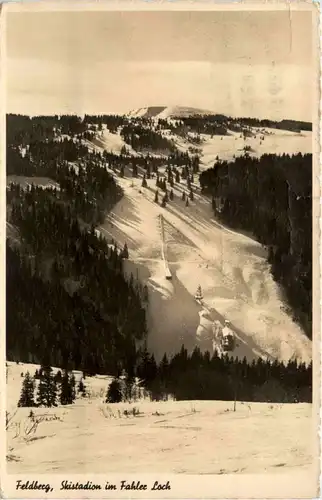 Feldberg - Skistadion im FAhler Lochlde -439854
