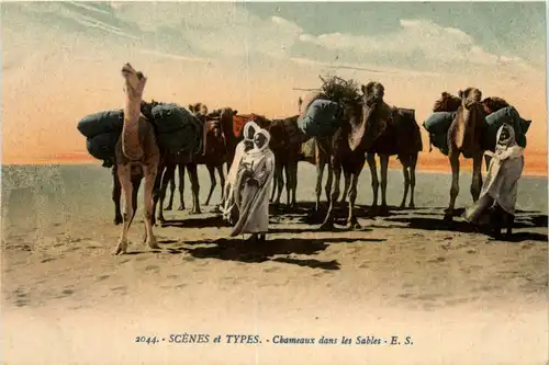 Algerie - Scenes et Types -441710