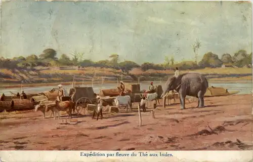 India - Expedition par fleuve du The -442214