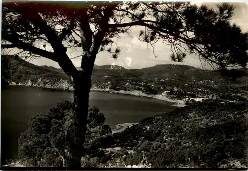 Mallorca - Camp de Mar -442494