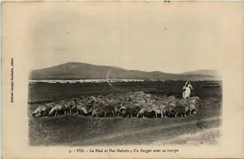 Fez - Le Blad et Dar Mahres -441358