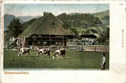 Schwarzwaldhaus -441434