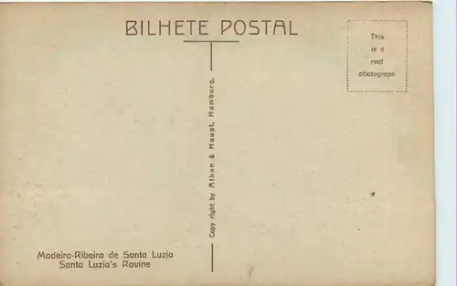 Madeira - Ribeira de Santa Luzia -441534