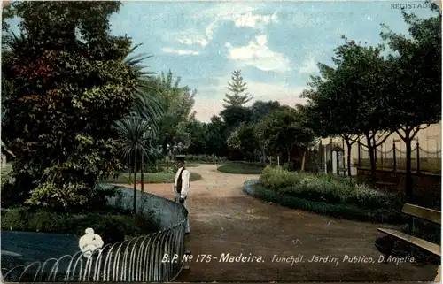 Madeira - Funchal Jardim Publico -441554