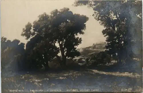 Salon de Paris 1901 - Dameron -441422