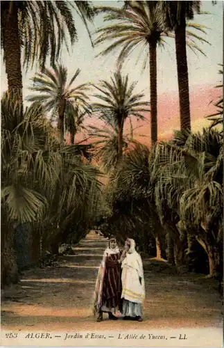 Alger - Jardin d Essai -441778