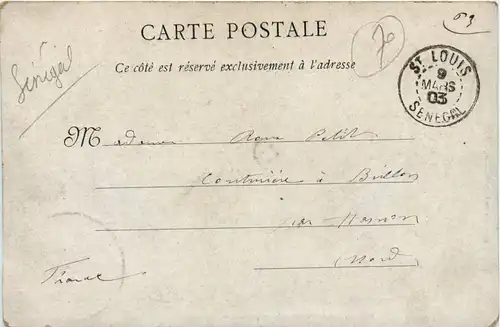 Senegal - Saint Louis -443394