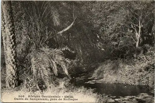 Senegal - Thies -443284