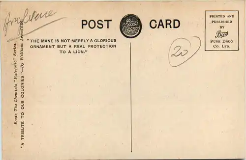 The Glory of a Lion -442938