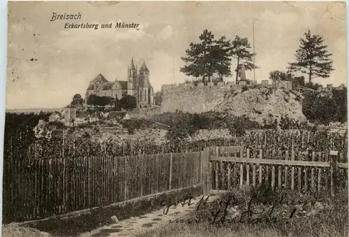 Ba-Wü/ Breisach - Eckartsberg und Münster -339718